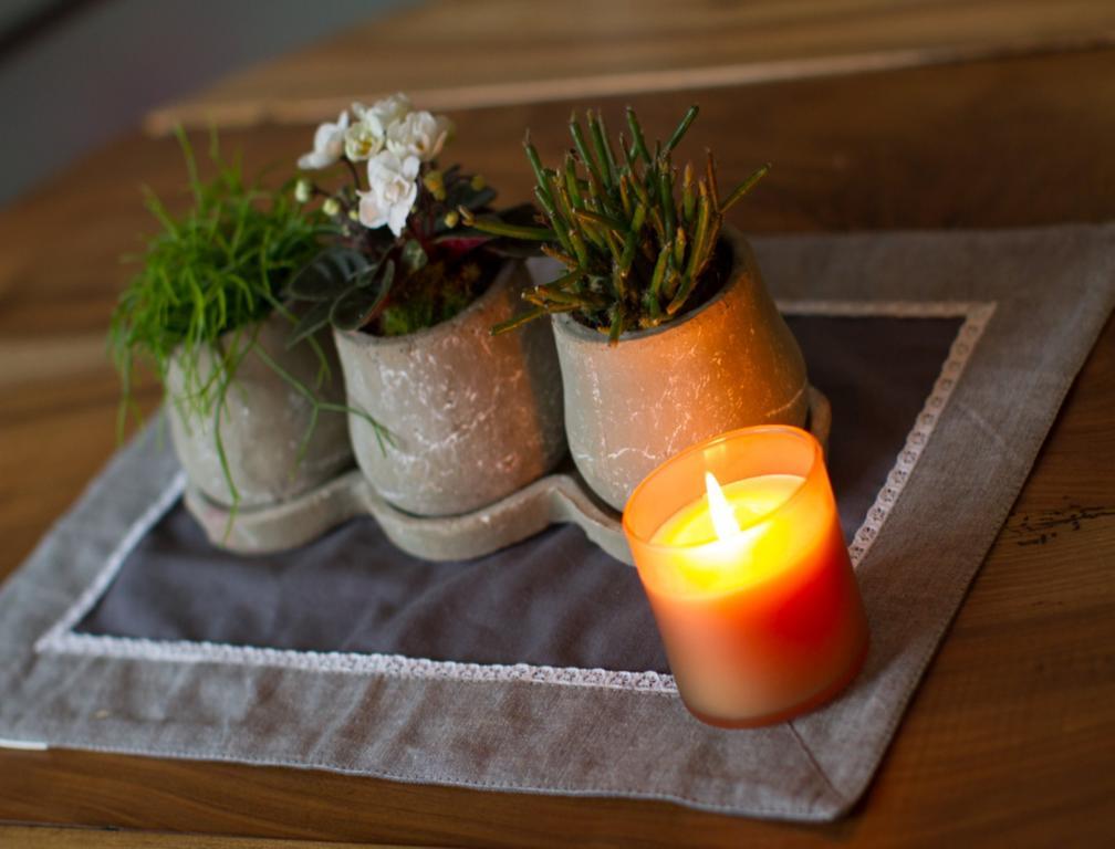 Appartement Melusine Avec Balcon 아메르쉬비르 객실 사진